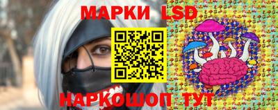 крисы Ставрополь