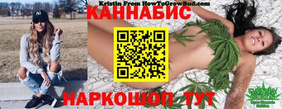 крисы Ставрополь