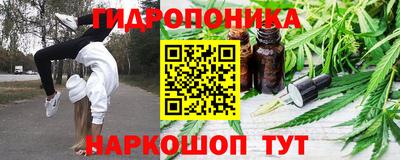 крисы Ставрополь