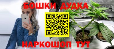 крисы Ставрополь