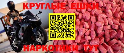 a pvp Славгород