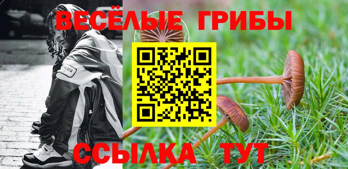 Псилоцибиновые грибы мухоморы Наро-Фоминск
