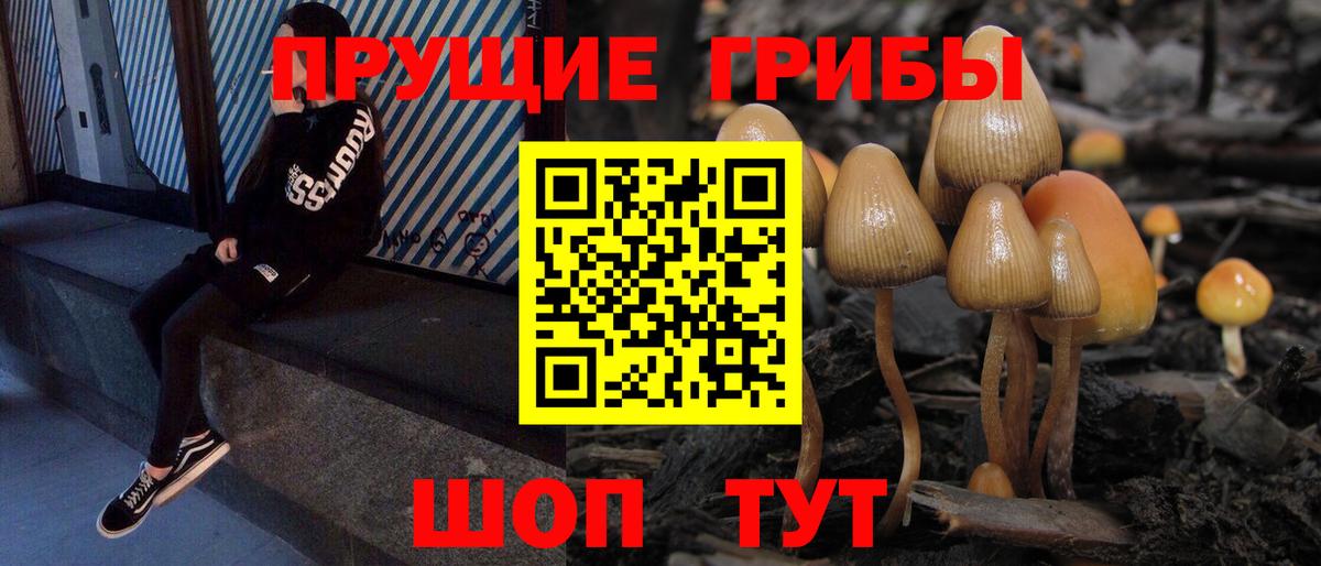 Галлюциногенные грибы мухоморы  Вход с VPN  Наро-Фоминск  Галлюциногенные грибы мицелий 